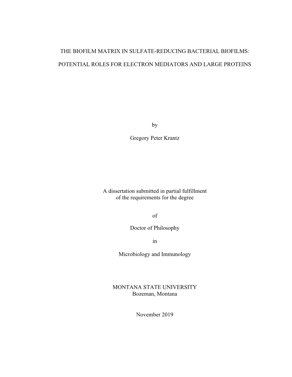 The Biofilm Matrix in Sulfate-Reducing Bacterial Biofilms