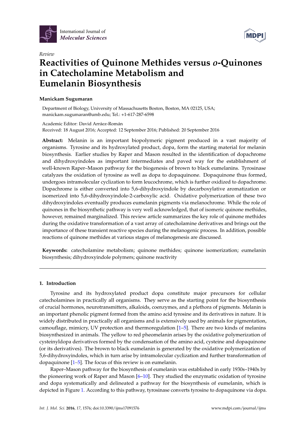 Reactivities of Quinone Methides Versus O-Quinones in Catecholamine Metabolism and Eumelanin Biosynthesis