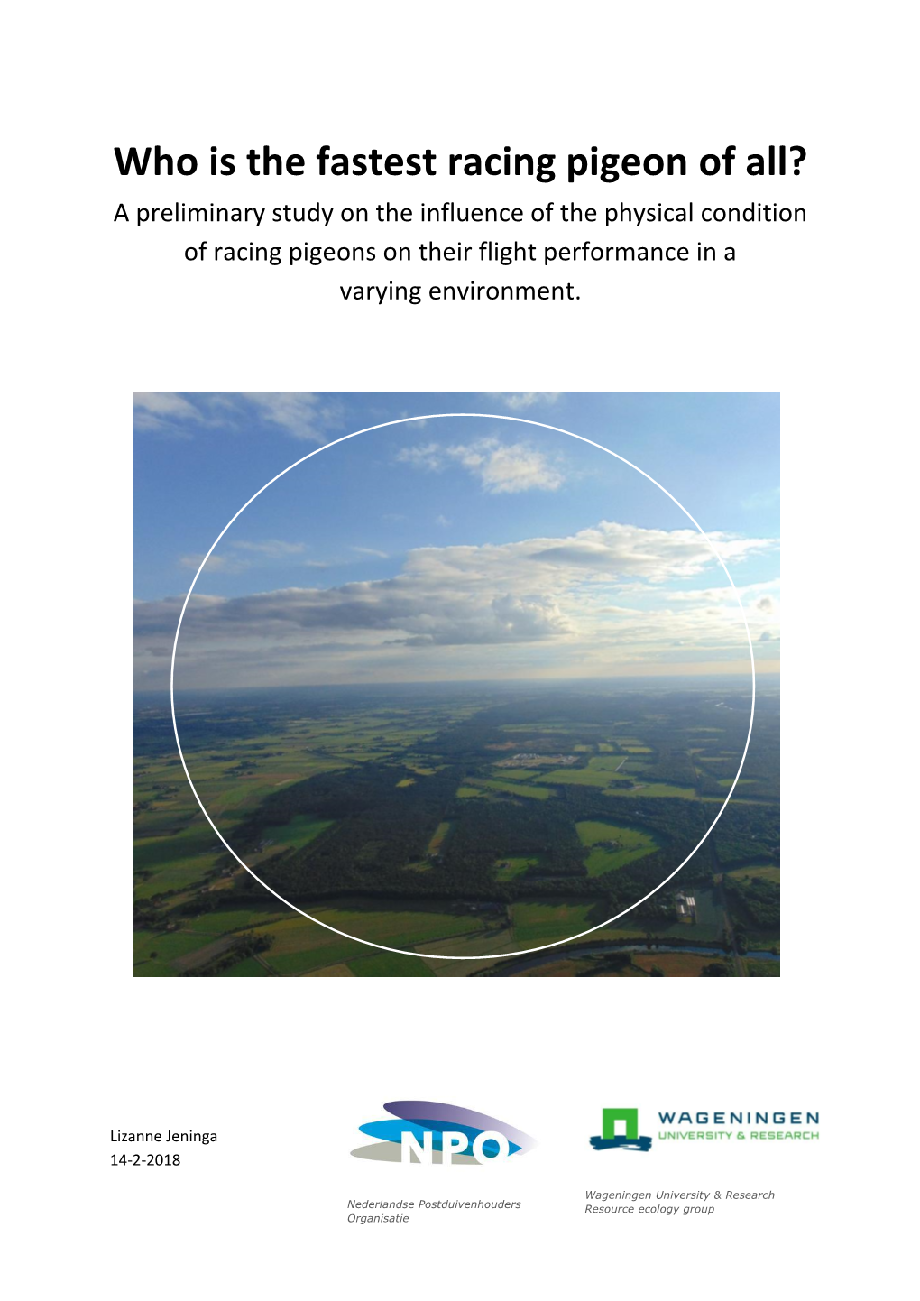 Who Is the Fastest Racing Pigeon of All? a Preliminary Study on the Influence of the Physical Condition of Racing Pigeons on Their Flight Performance in A