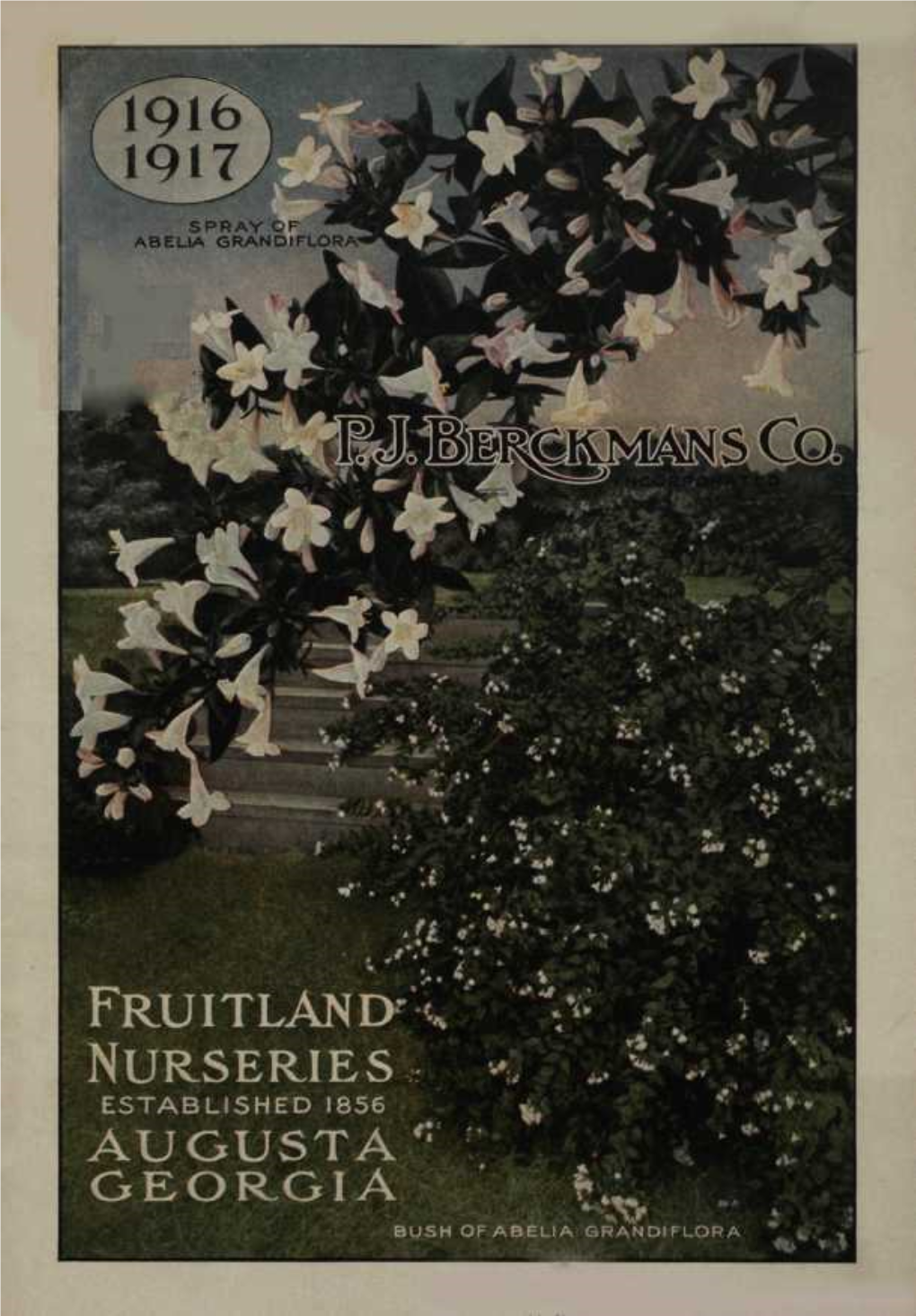 191 1917 FRUITLAND^ ' **< NURSERIES, • AUGUSTA