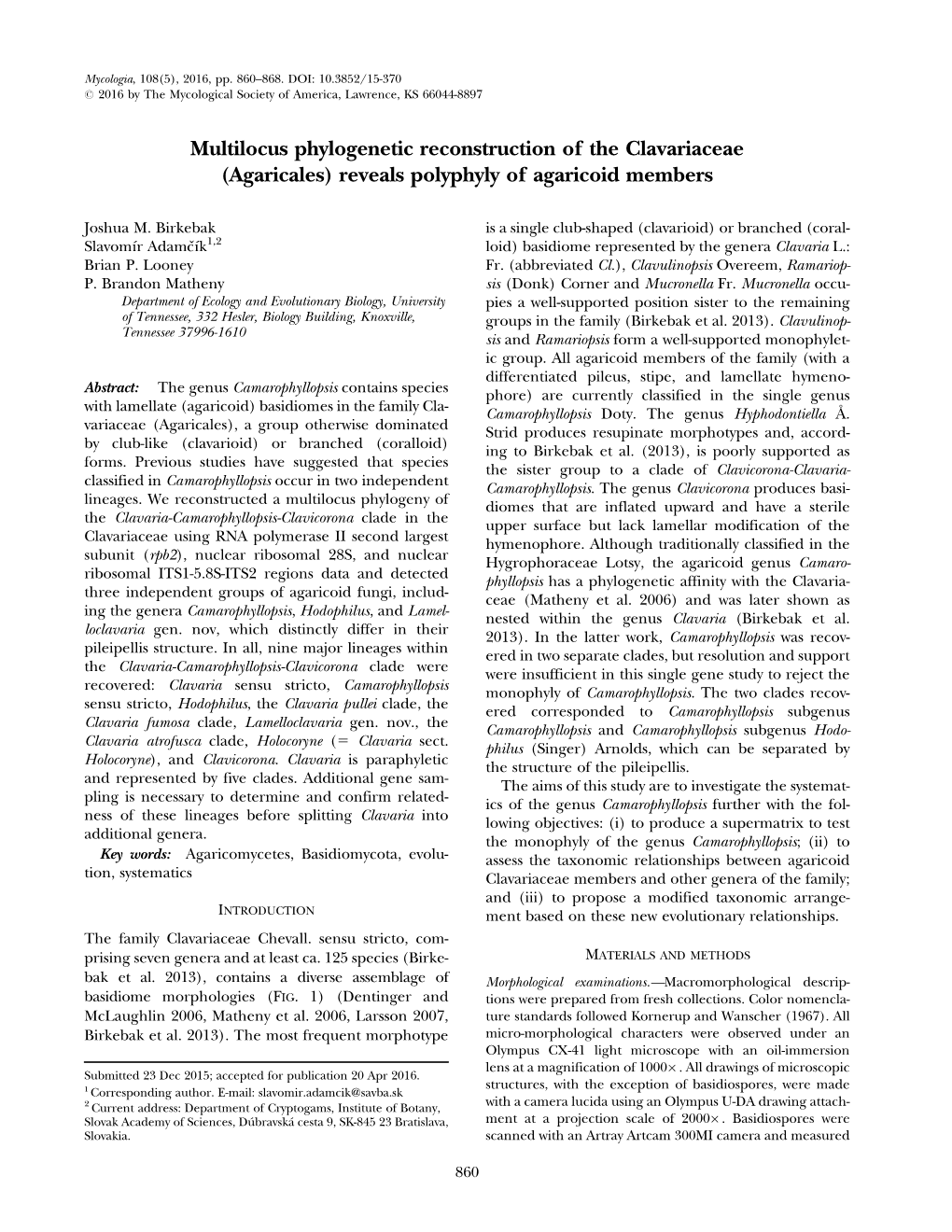 Agaricales) Reveals Polyphyly of Agaricoid Members