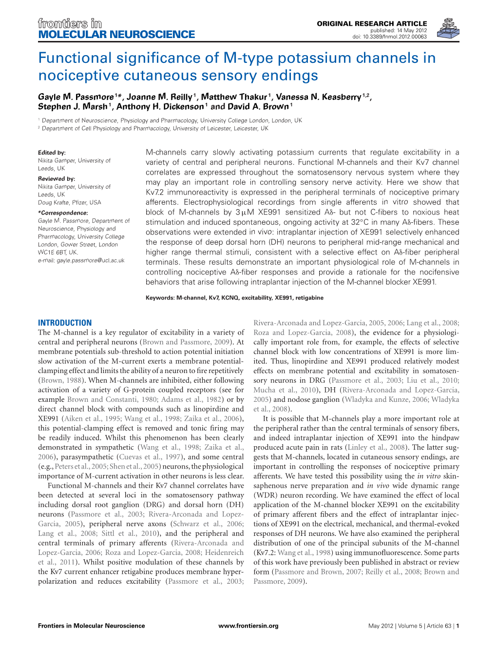 Functional Significance of M-Type Potassium Channels in Nociceptive