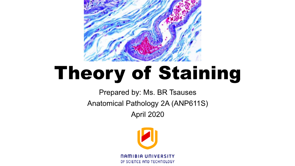 Theory of Staining Prepared By: Ms