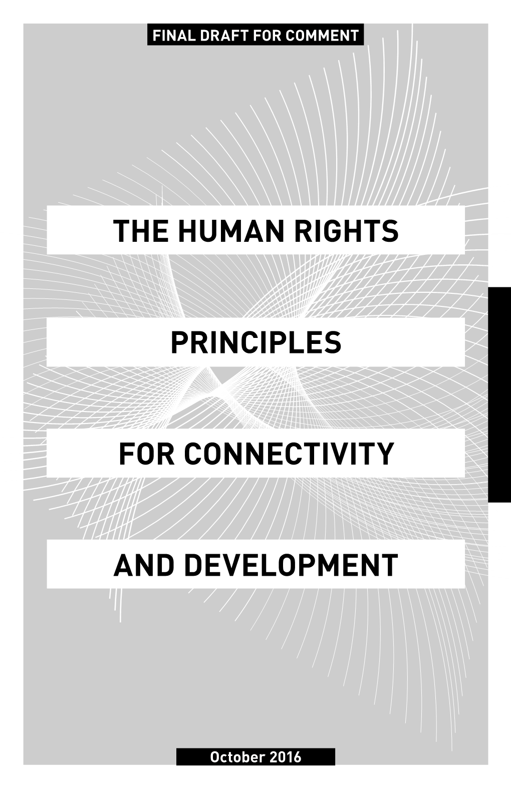 The Human Rights Principles for Connectivity and Development