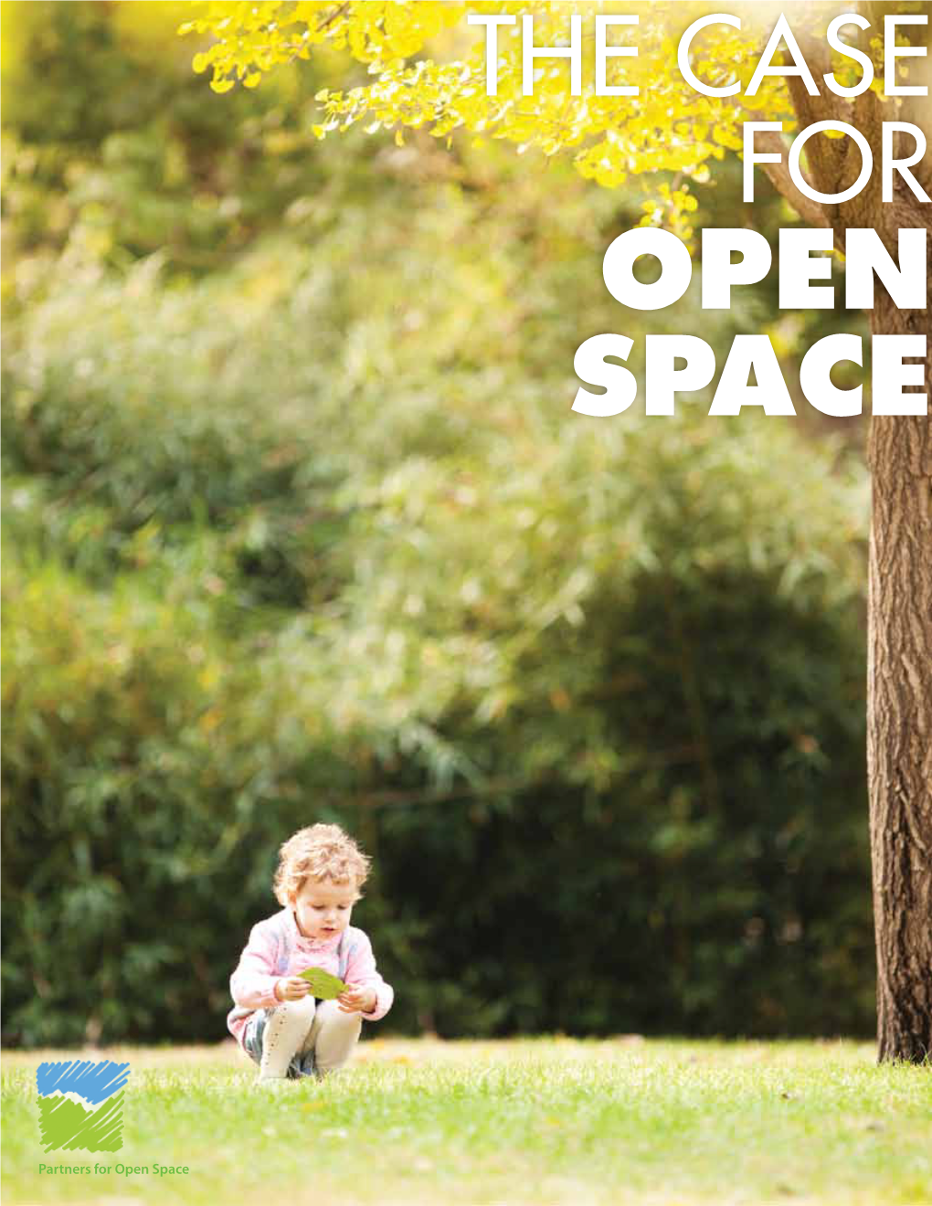 To Download the Case for Open Space