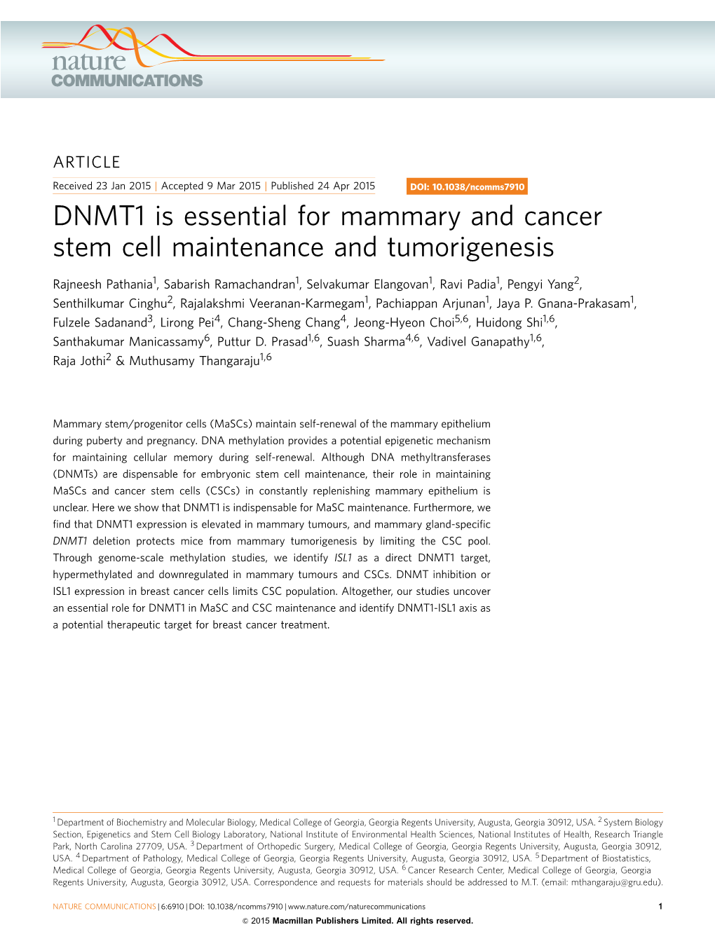 DNMT1 Is Essential for Mammary and Cancer Stem Cell Maintenance and Tumorigenesis