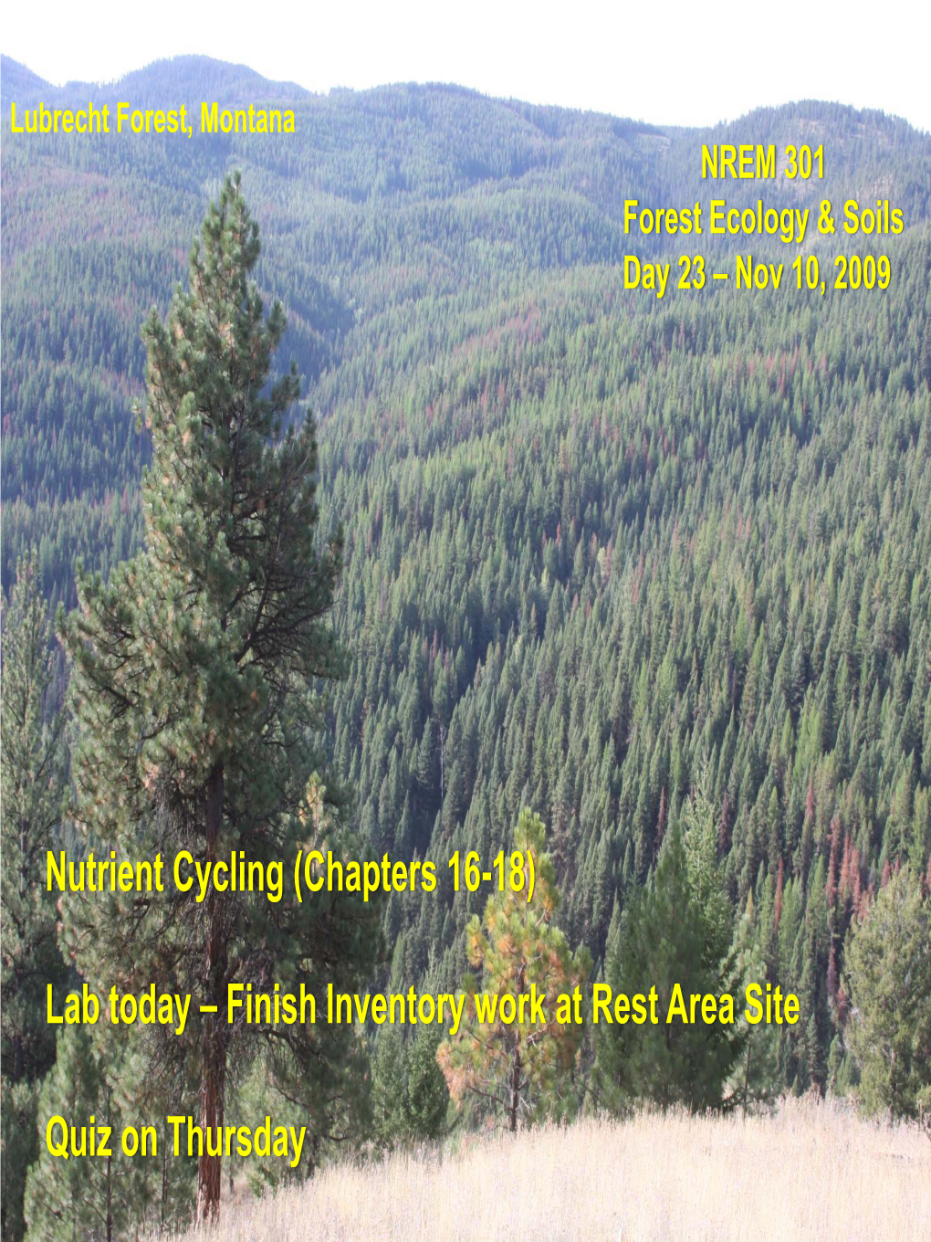 Nutrient Cycling (Chapters 16-18) Lab Today – Finish Inventory Work At