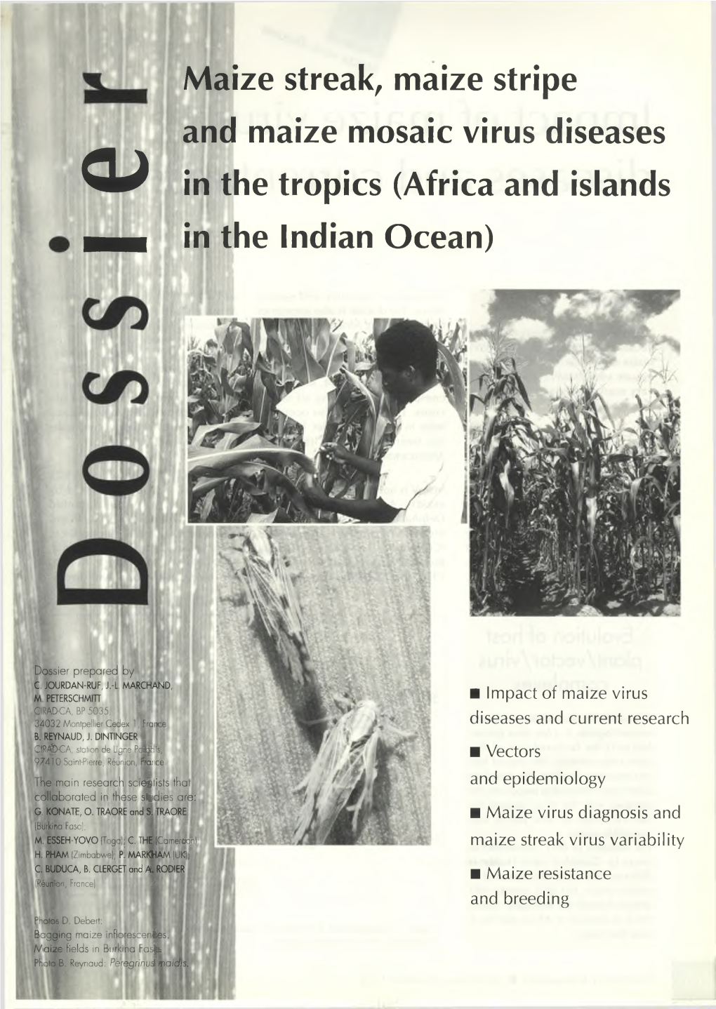 Maize Streak, Maize Stripe and Maize Mosaic Virus Diseases QJ in the Tropics (Africa and Islands ■ H in the Indian Ocean)