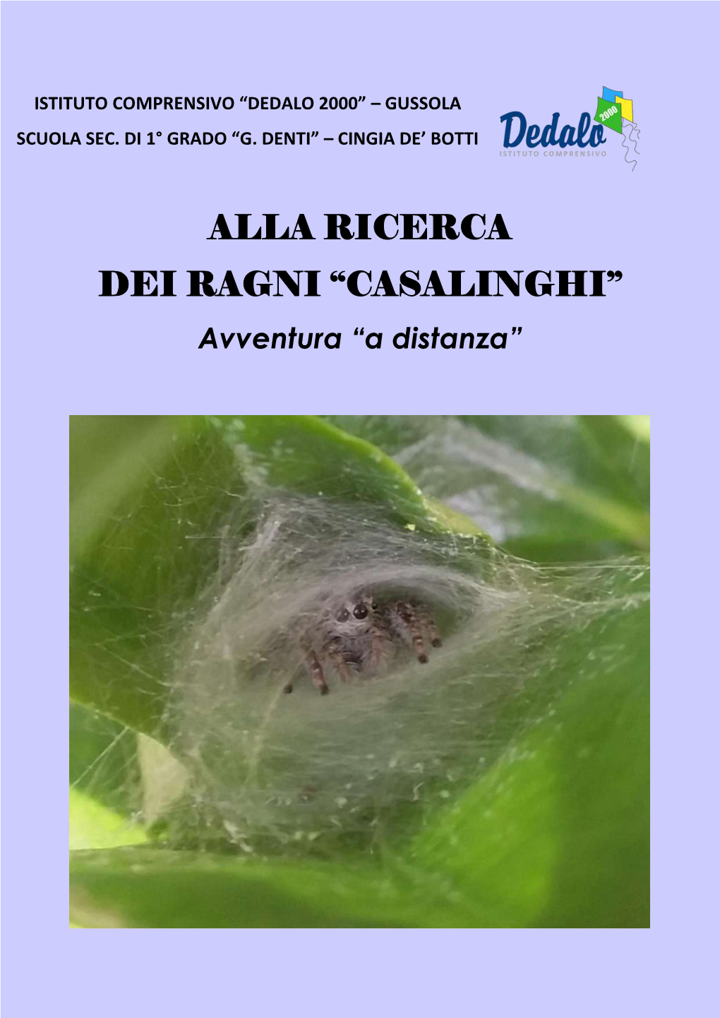 ALLA RICERCA DEI RAGNI “CASALINGHI” Avventura “A Distanza”