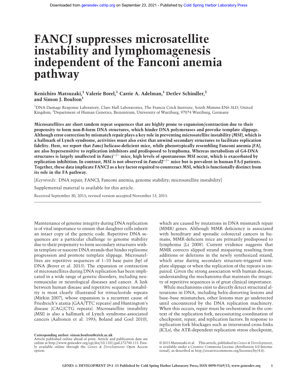 FANCJ Suppresses Microsatellite Instability and Lymphomagenesis Independent of the Fanconi Anemia Pathway