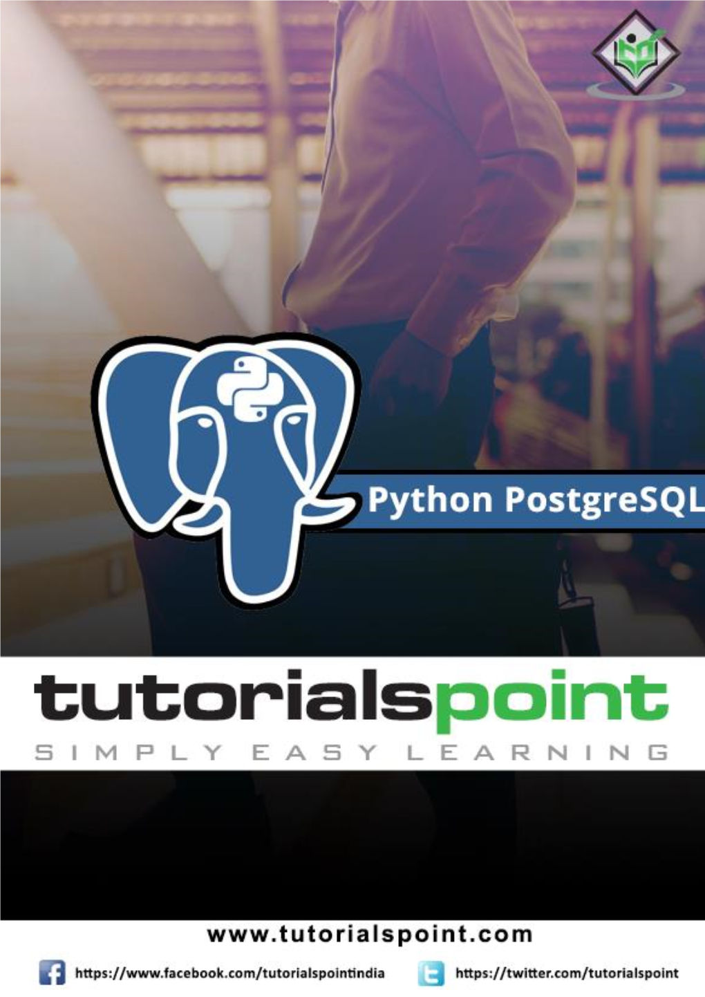 Download Python Postgresql Tutorial