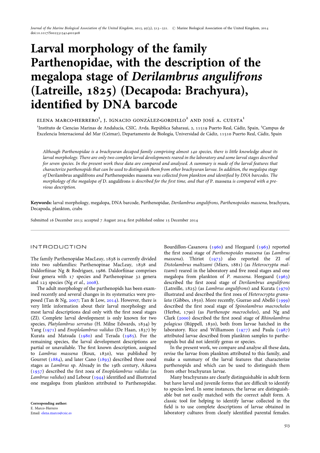 Larval Morphology of the Family Parthenopidae, with the Description