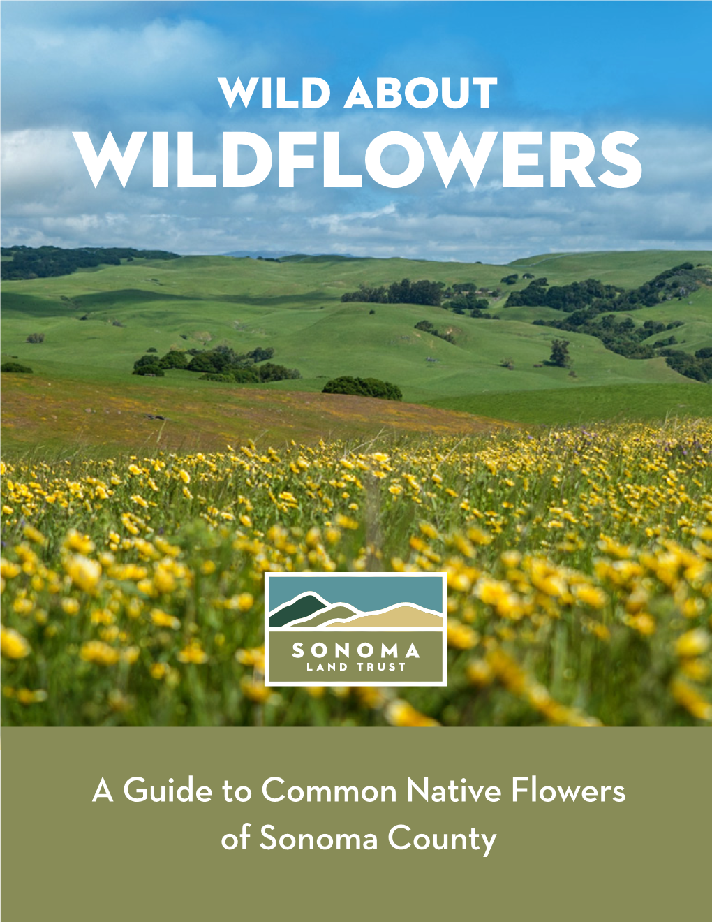 A Guide to Common Native Flowers of Sonoma County