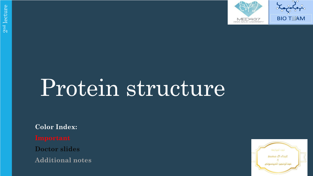 Protine Structure