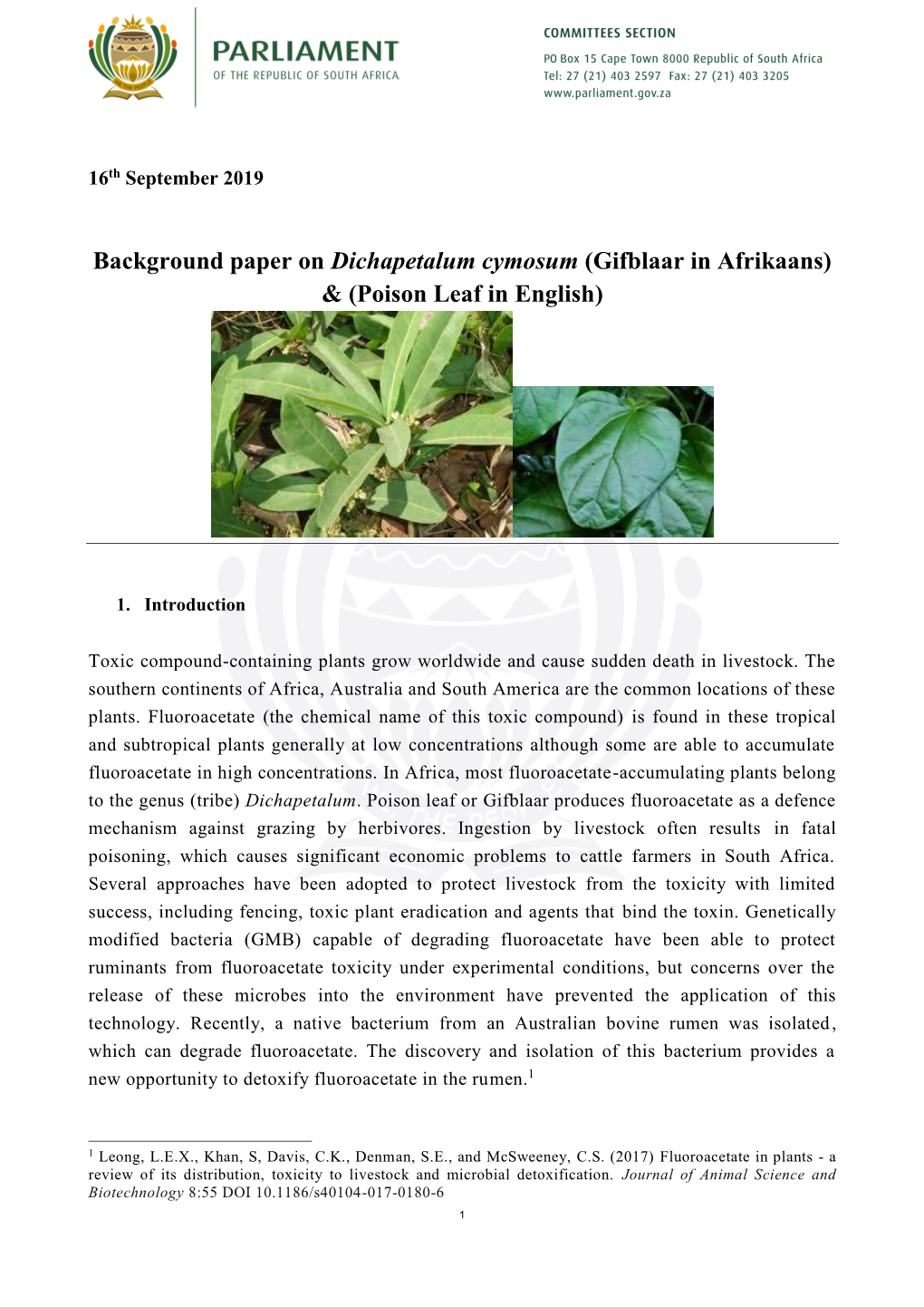 Background Paper on Dichapetalum Cymosum (Gifblaar in Afrikaans) & (Poison Leaf in English)