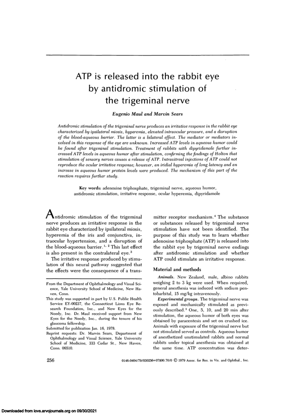 ATP Is Released Into the Rabbit Eye by Antidromic Stimulation of the Trigeminal Nerve