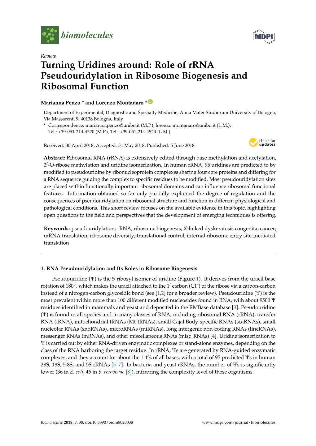 Role of Rrna Pseudouridylation in Ribosome Biogenesis and Ribosomal Function