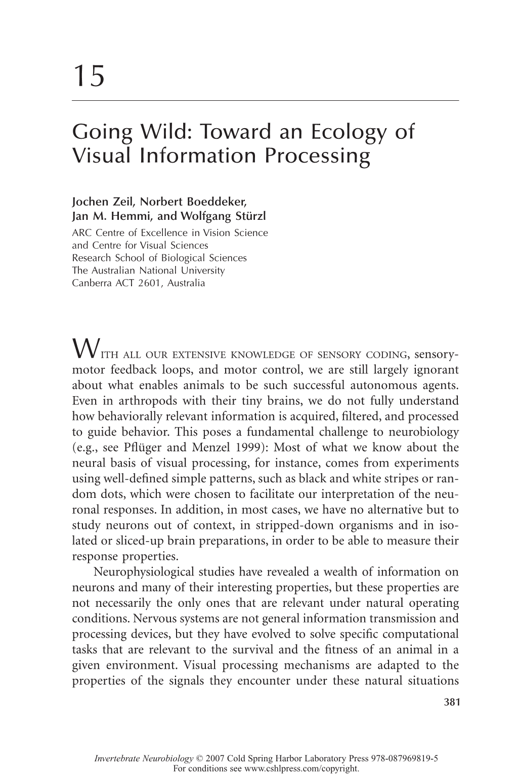 Toward an Ecology of Visual Information Processing