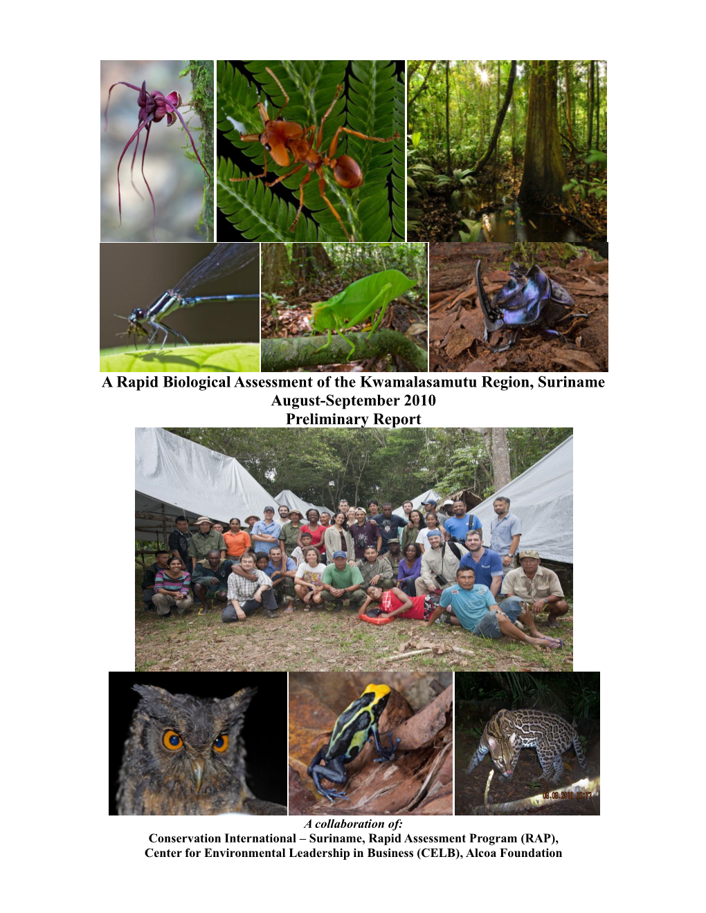 A Rapid Biological Assessment of the Kwamalasamutu Region, Suriname August-September 2010 Preliminary Report