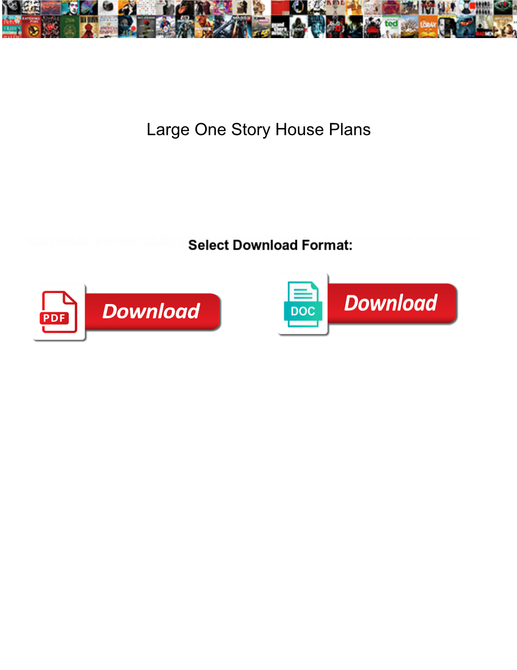 Large One Story House Plans