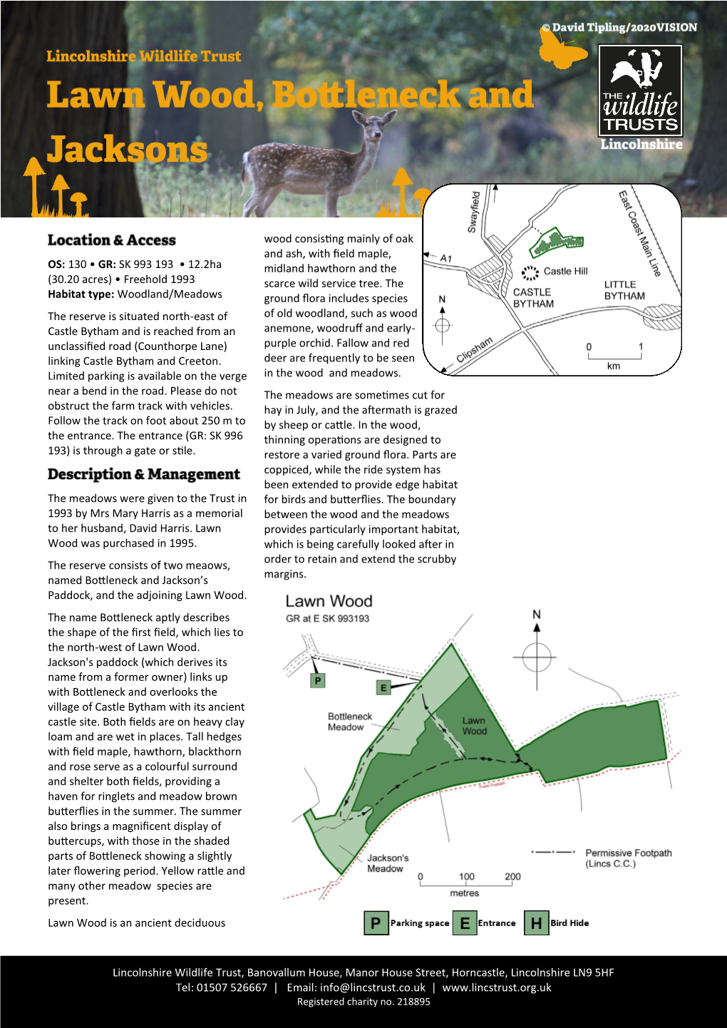 Lawnwood, Bottleneck and Jackson's