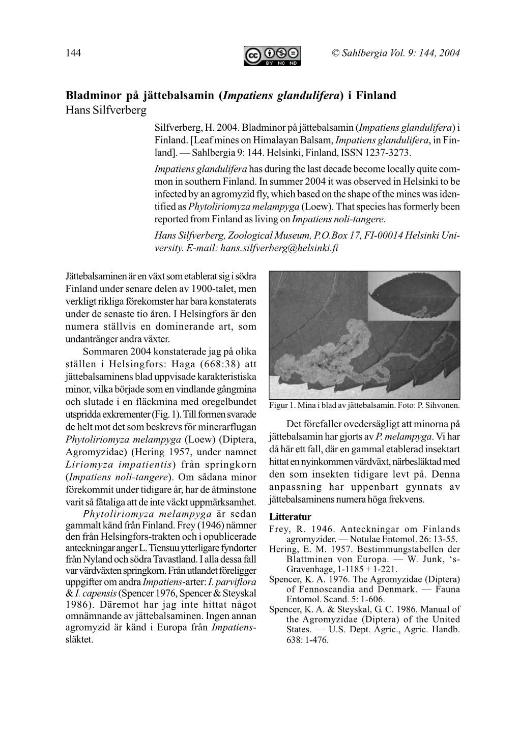 144 Silfverberg Phytoliriomyza.P65