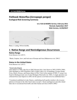 ERSS-Fishhook Waterflea (Cercopagis Pengoi)