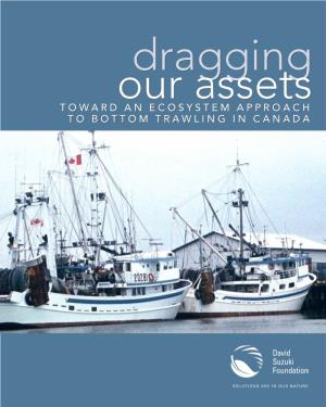 Toward an Ecosystem Approach to Bottom Trawling in Canada
