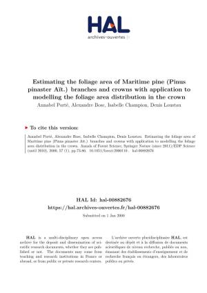 Estimating the Foliage Area of Maritime Pine (Pinus Pinaster Aït.)