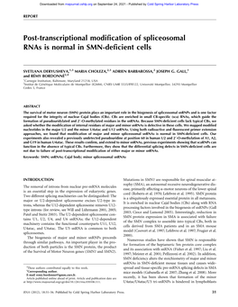 Post-Transcriptional Modification of Spliceosomal Rnas Is Normal in SMN-Deficient Cells