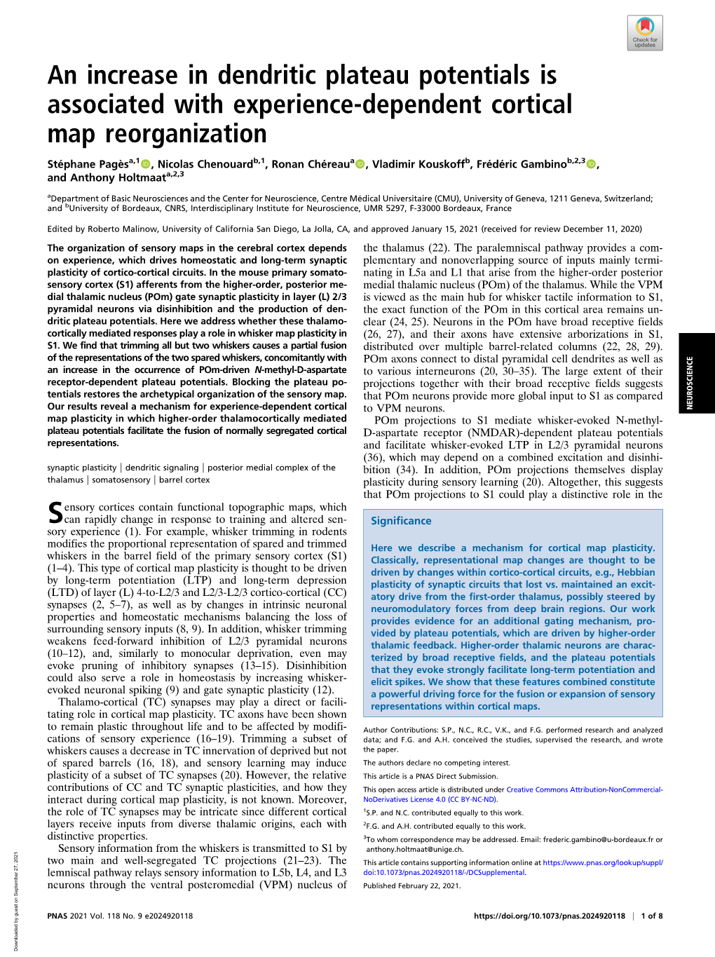 An Increase in Dendritic Plateau Potentials Is Associated with Experience-Dependent Cortical Map Reorganization