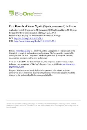 First Records of Yuma Myotis (Myotis Yumanensis) in Alaska