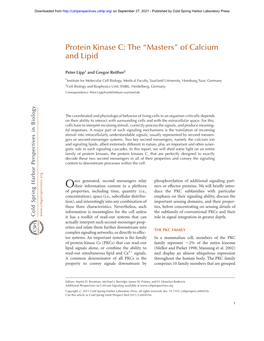 Protein Kinase C: the “Masters” of Calcium and Lipid