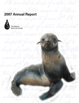 2007 Impact Report