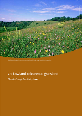 20. Lowland Calcareous Grassland