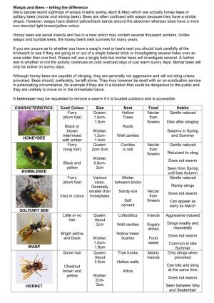 Wasps and Bees – Telling the Difference Many People Report