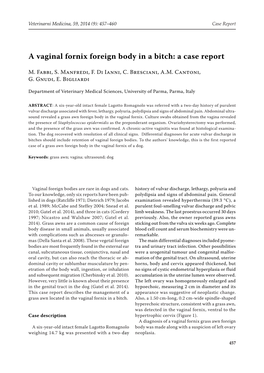 A Vaginal Fornix Foreign Body in a Bitch: a Case Report