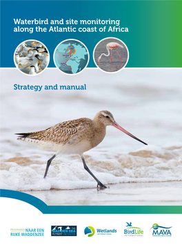 Waterbird and Site Monitoring Along the Atlantic Coast of Africa Strategy
