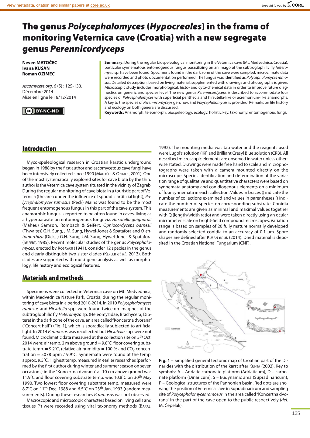 Ascomyceteorg 06-05 Ascomyceteorg