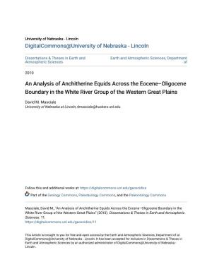 An Analysis of Anchitherine Equids Across the Eocene–Oligocene Boundary in the White River Group of the Western Great Plains