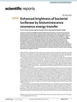 Enhanced Brightness of Bacterial Luciferase by Bioluminescence Resonance Energy Transfer