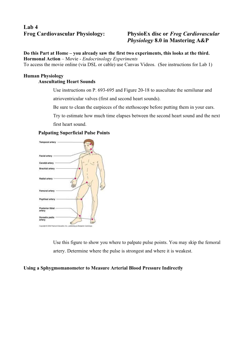 Frog Cardiovascular Physiology: Physioex Disc Or Frog Cardiovascular Physiology 8.0 In