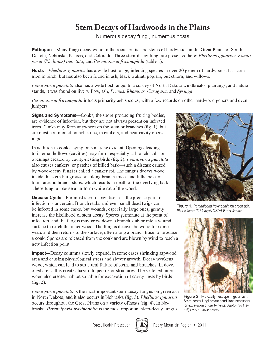Stem Decays of Hardwoods in the Plains Numerous Decay Fungi, Numerous Hosts