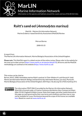 Raitt's Sand Eel (Ammodytes Marinus)