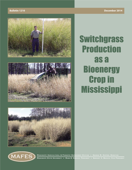 Switchgrass Production As a Bioenergy Crop in Mississippi