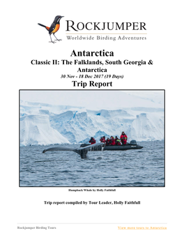 Antarctica Classic II: the Falklands, South Georgia & Antarctica 30 Nov - 18 Dec 2017 (19 Days) Trip Report
