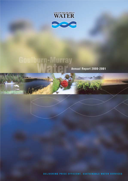 Annual Report 2000/01