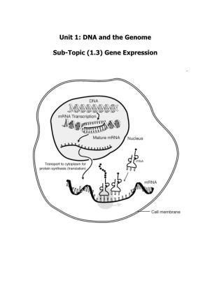 Unit 1: DNA and the Genome Sub-Topic (1.3) Gene Expression