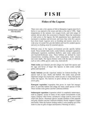 Fish Species and for Eggs and Larvae of Larger Fish