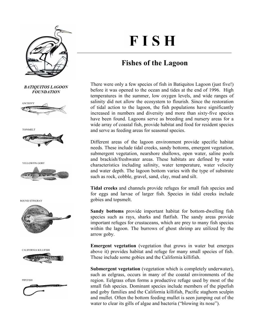 Fish Species and for Eggs and Larvae of Larger Fish - DocsLib